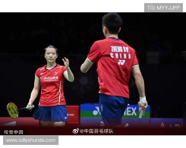 杭州羽毛球队与北京羽毛球队赛后复盘力量对比分析与战术探讨