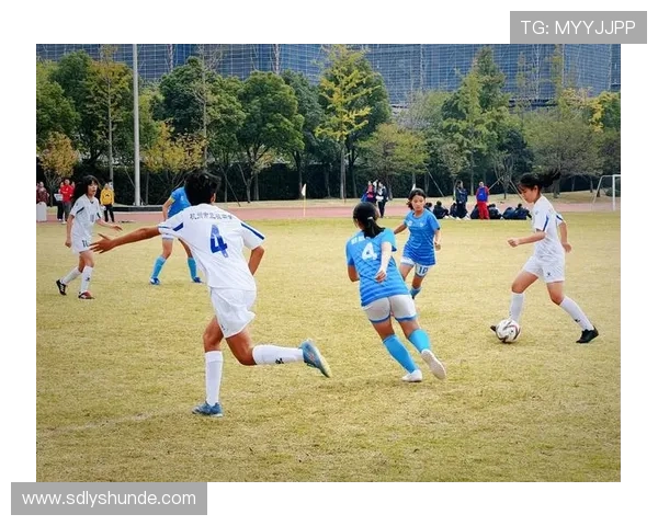 杭州篮球队杯赛速度表现分析与战术探讨