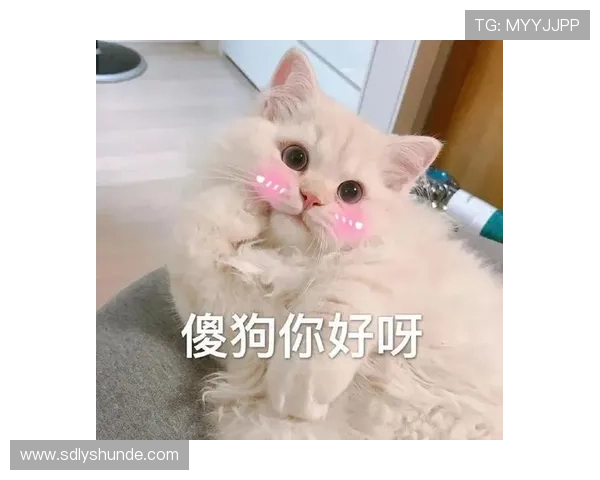 足球明星表情包与玫瑰花的完美结合展现独特魅力与情感表达